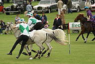 Scurry racing in the Grand Ring