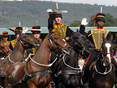the King's Troop Royal Horse Artillery